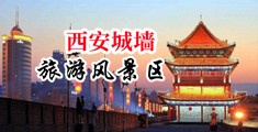 高清小鸡巴在下操小穴中国陕西-西安城墙旅游风景区