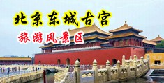 扣逼小视频中国北京-东城古宫旅游风景区